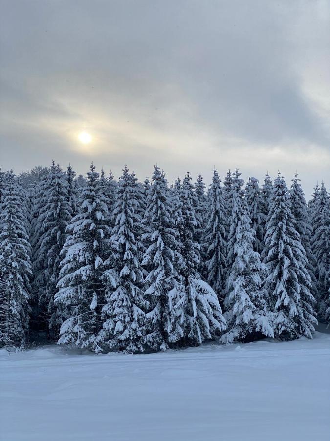 Durmitorska Kuca Villa Žabljak Exteriör bild